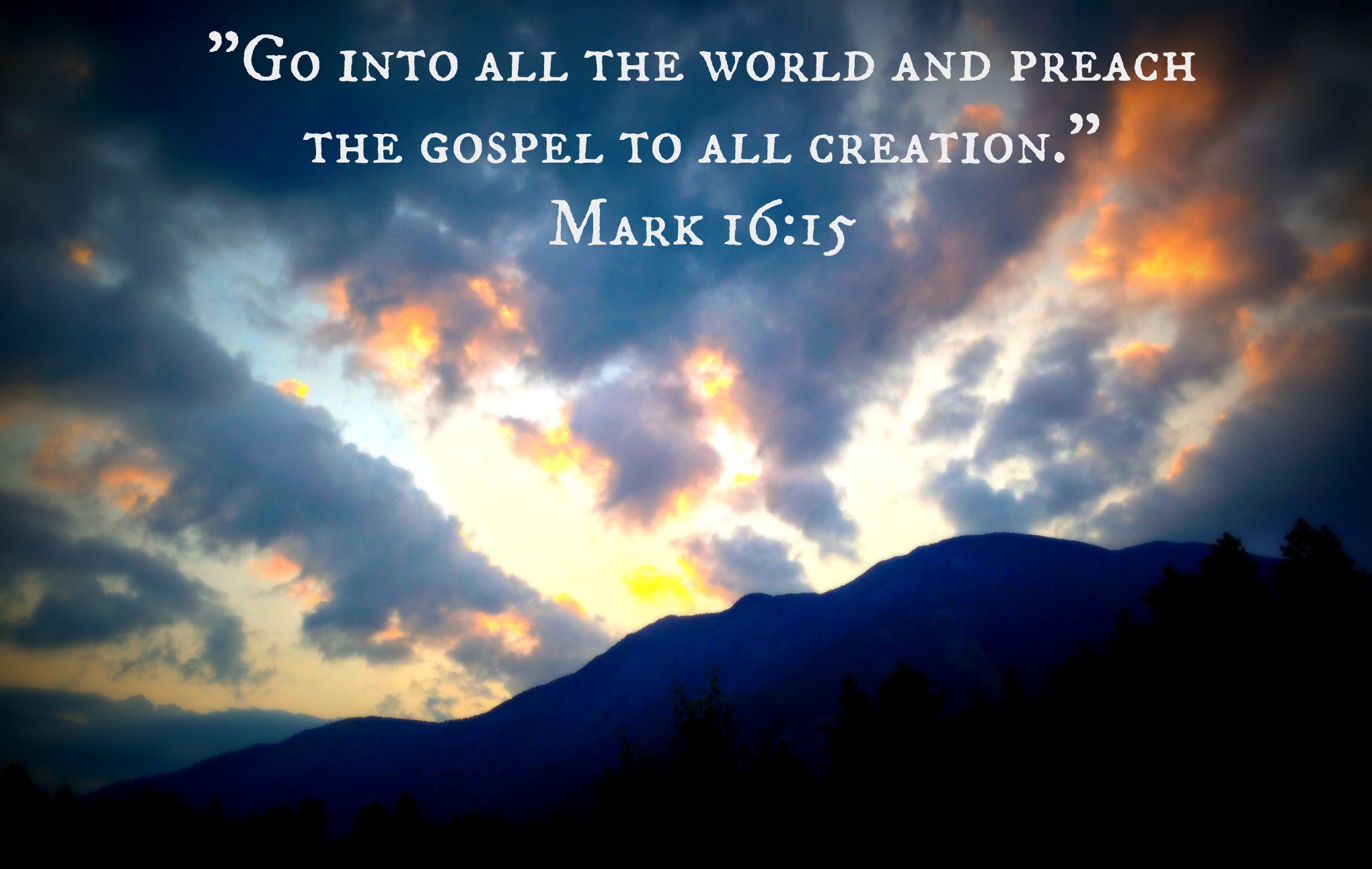 Bungoma's springs of hope break loose