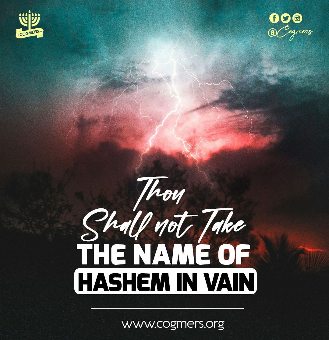 Though Shall Not Take The Name of HaShem Elohim in Vain