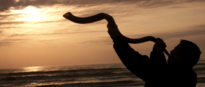 Happy New Year! A Reality Long Concealed