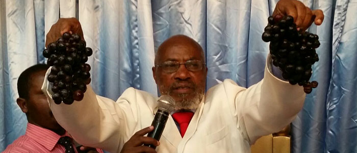 Silven beginning; golden ending anticipated